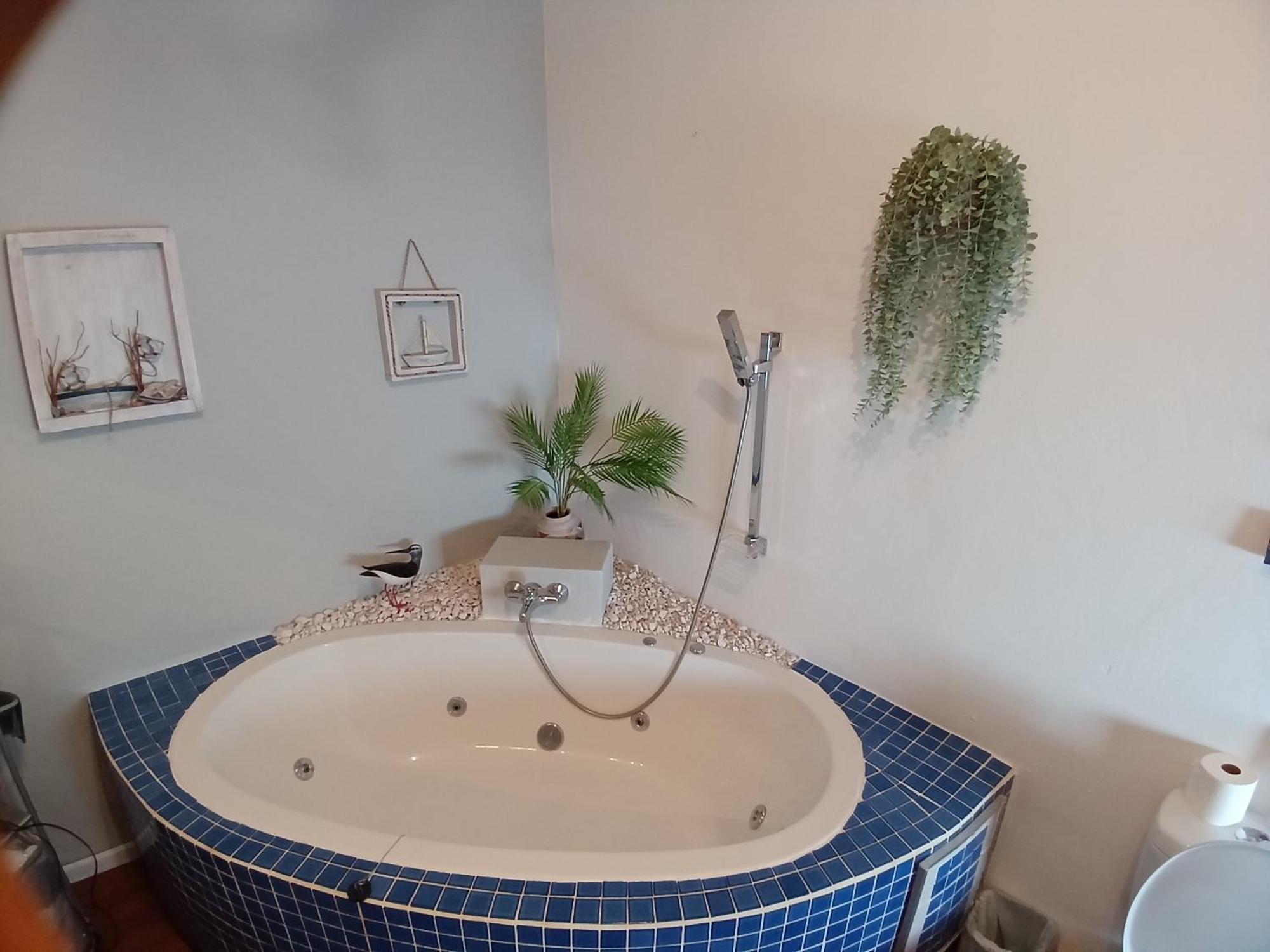 Ons Stee Bed And Breakfast Ουέλλινγκτον Εξωτερικό φωτογραφία